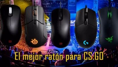 MEJORES RATÓNES