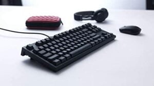REALFORCE R2 PFU Limited Edition (TKL/Negro/45g)