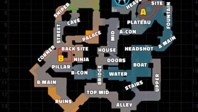 CALLOUTS DE ANUBIS