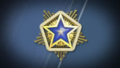 MEDALLA DE SERVICIO 2024