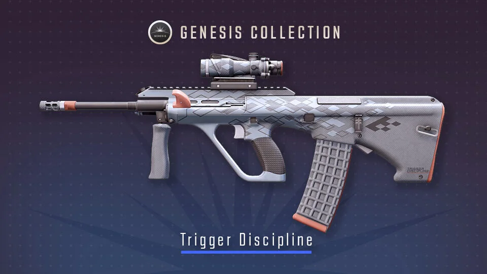 AUG Trigger Discipline CS2 skin